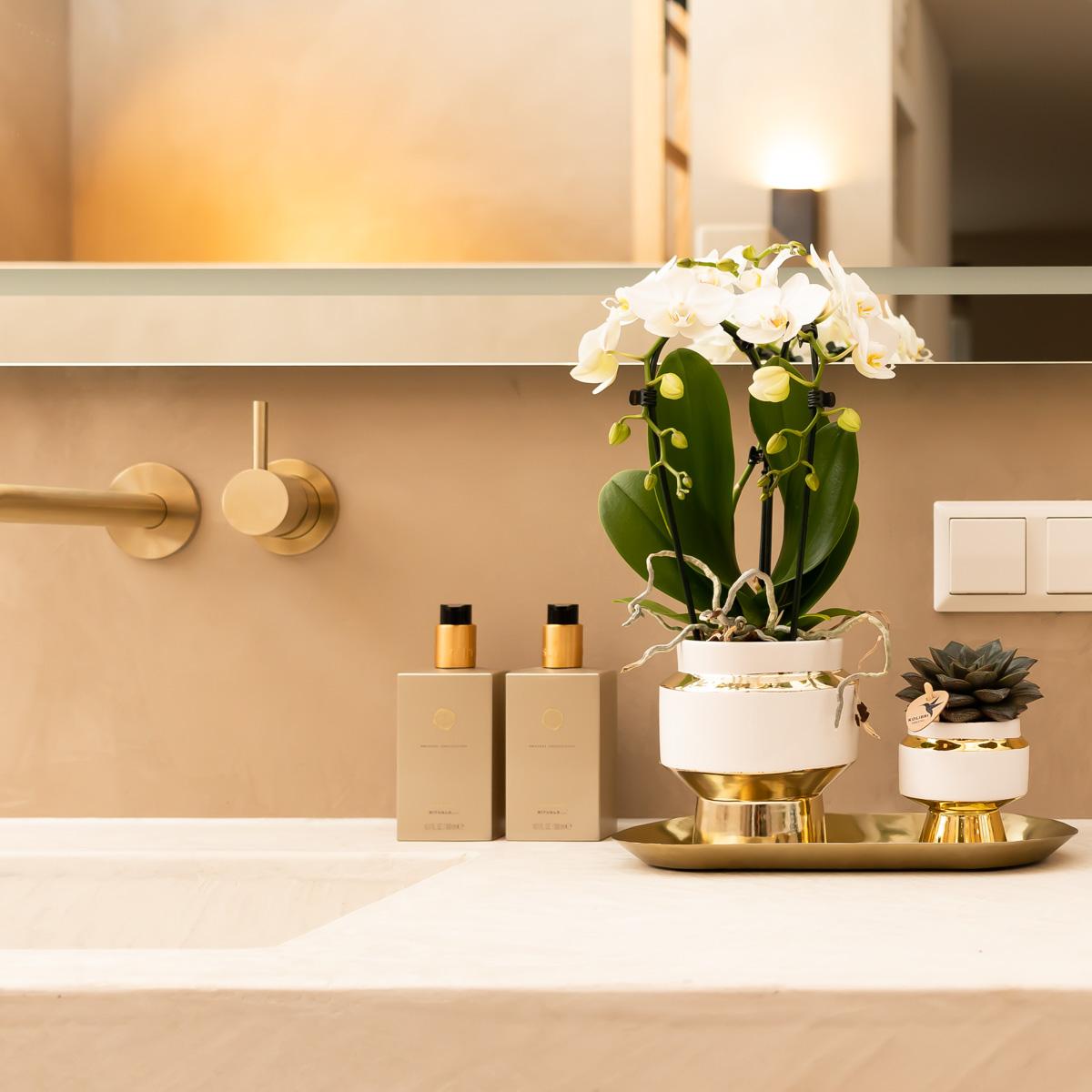 Kolibri Company – Set aus weißen Orchideen und Sukkulenten auf goldenem Tablett