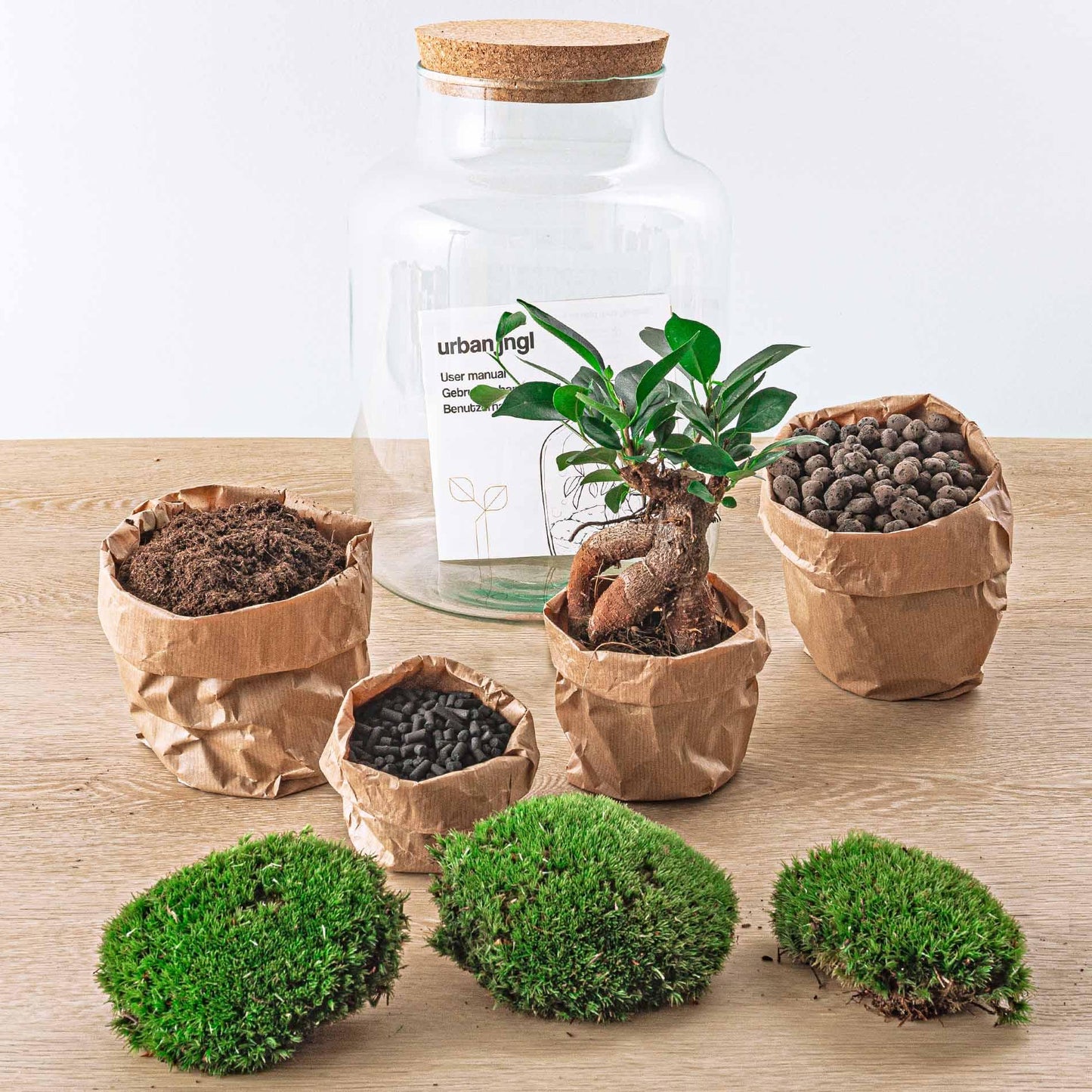 DIY-Terrarium - Milchig mit Bonsai - ↕ 30 cm - Normal