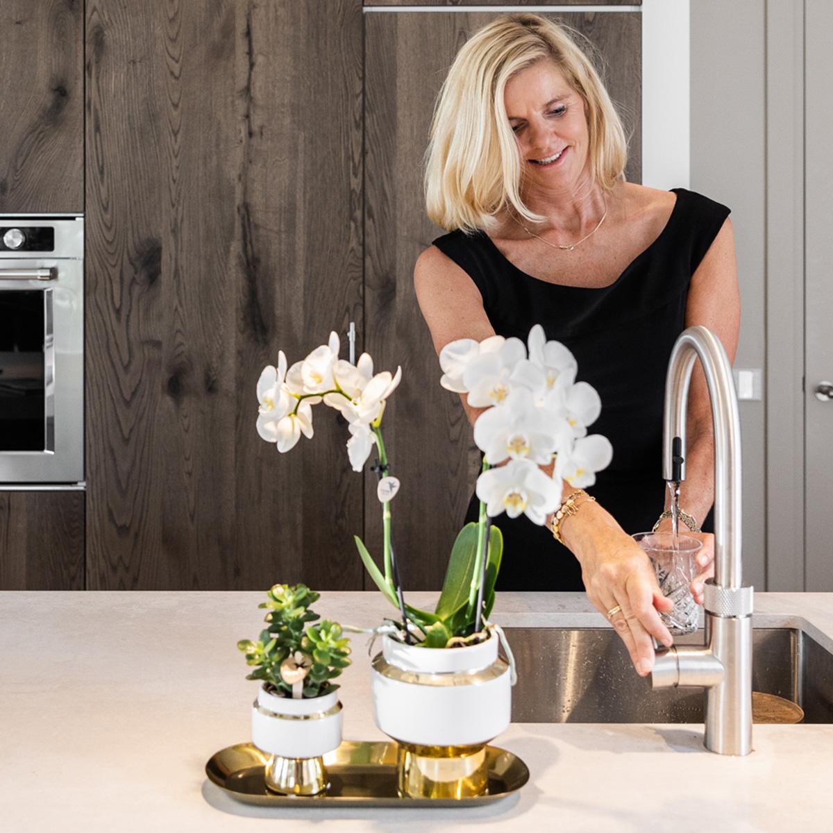 Kolibri Company – Set aus weißen Orchideen und Sukkulenten auf goldenem Tablett