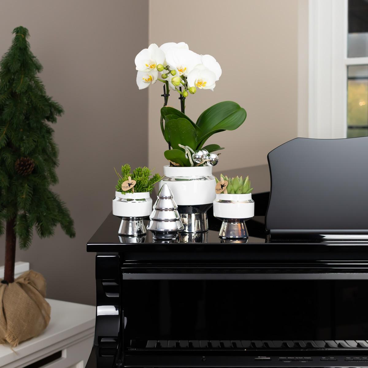Kolibri-Startseite | Le Chic Blumentopf – Weißer dekorativer Keramiktopf mit silbernen Details – Ø6 cm