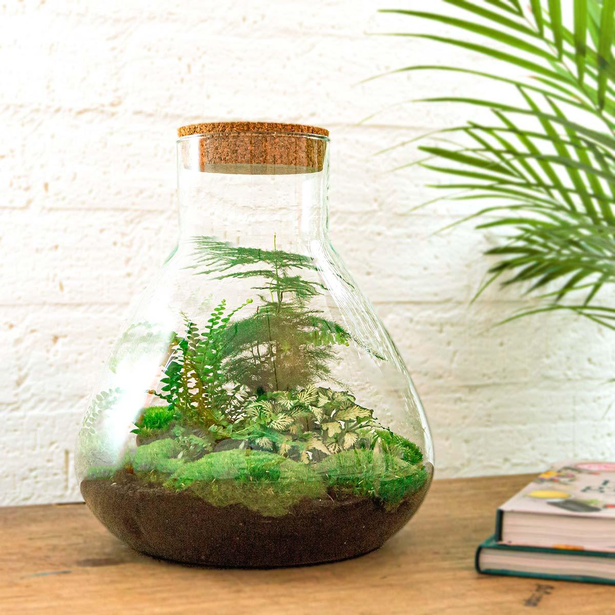 DIY-Terrarium - Sam XL - ↕ 35 cm - Harke + Schaufel + Pinzette