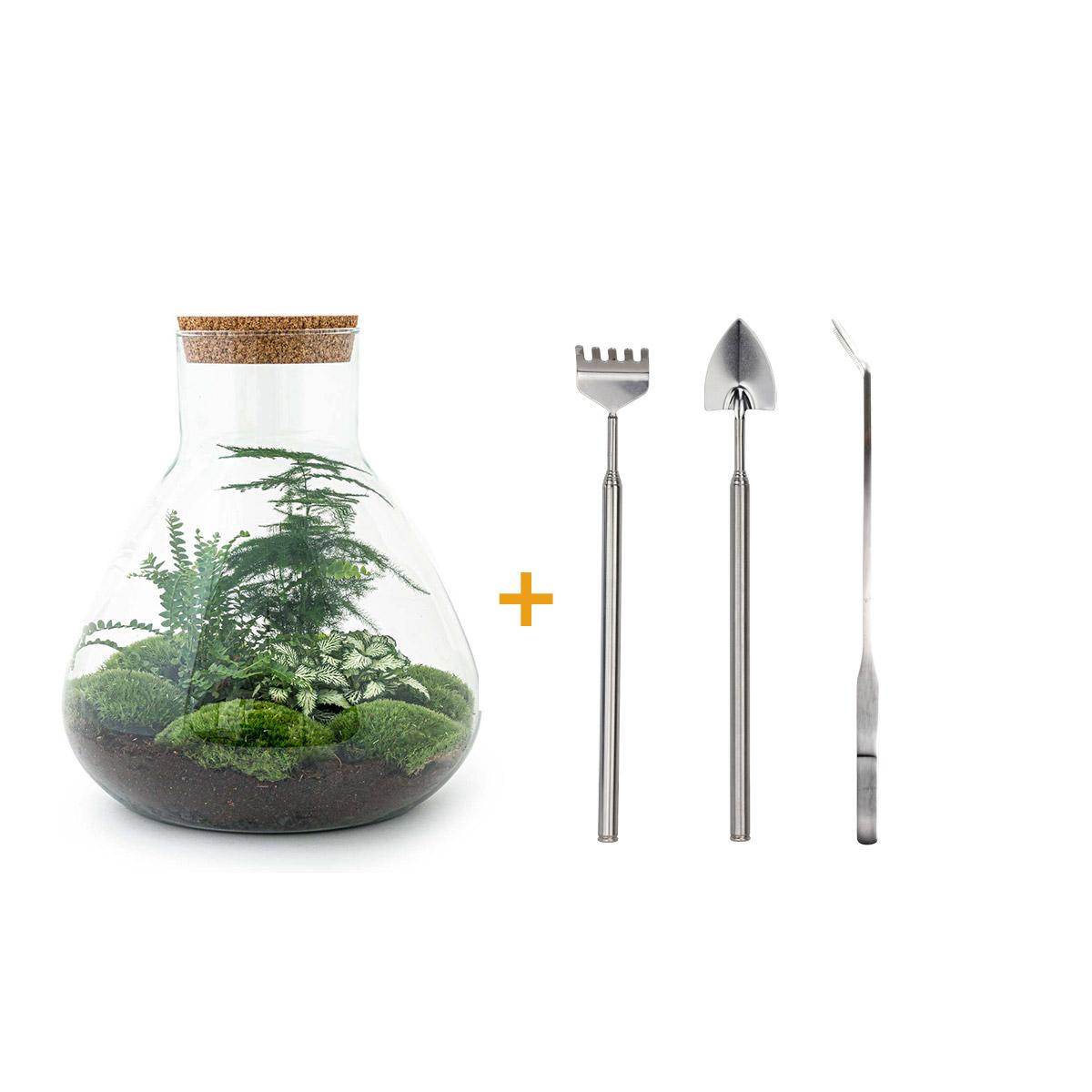 DIY-Terrarium - Sam XL - ↕ 35 cm - Harke + Schaufel + Pinzette