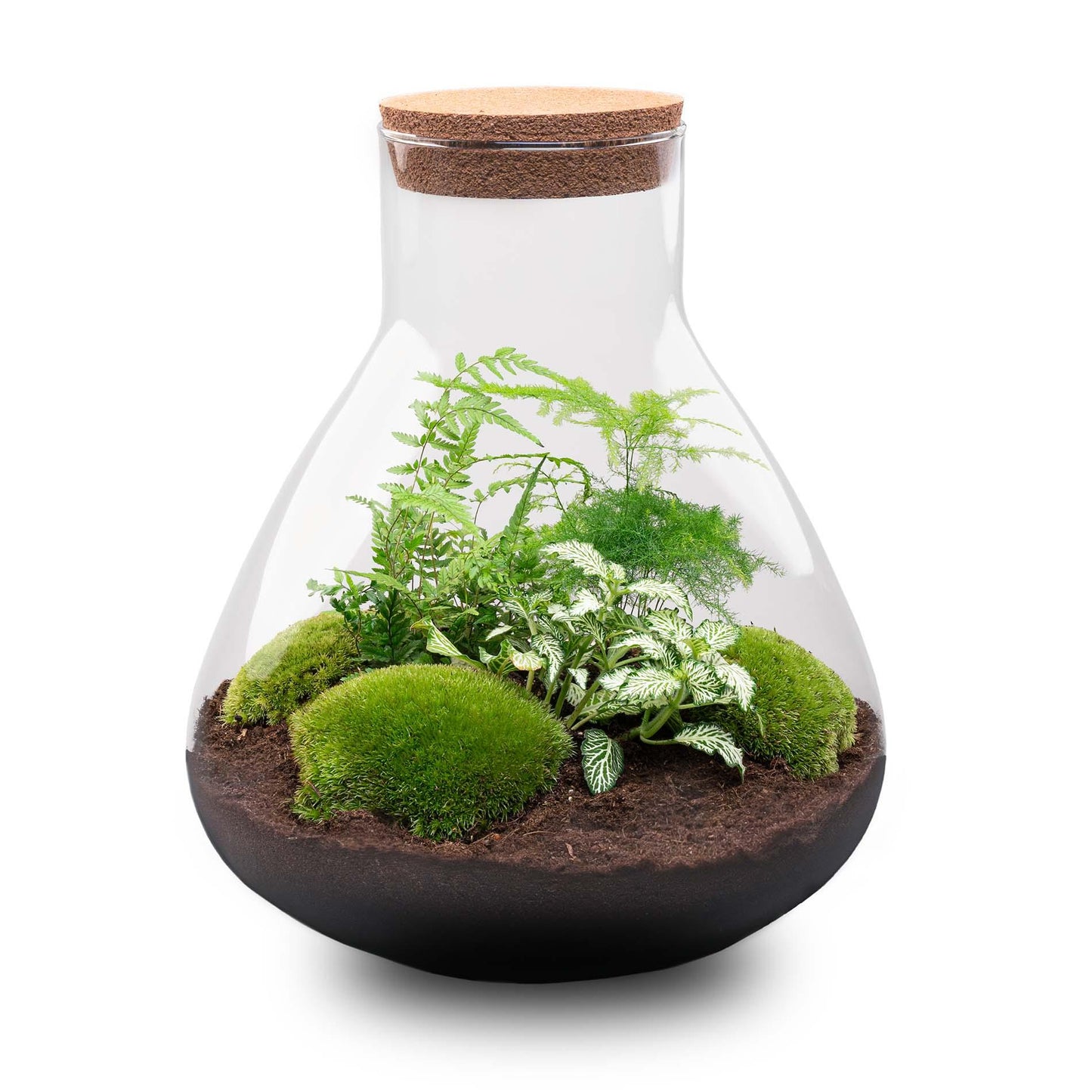 DIY-Terrarium - Sam XL - ↕ 35 cm - Harke + Schaufel + Pinzette