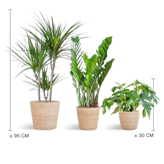 Schaduw Plantenbox - medium - met mand Sofia