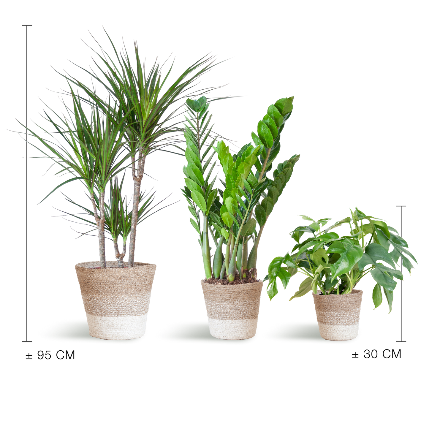 Schaduw Plantenbox - medium - met mand Lissabon wit