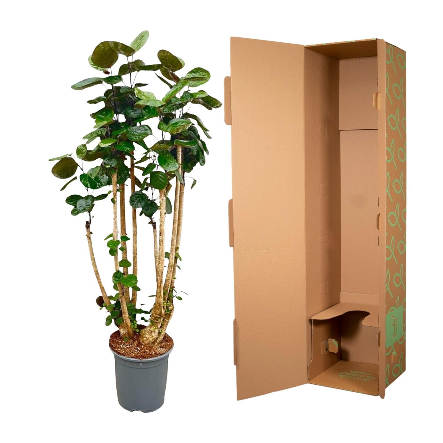 Polysicas Fabian XXL - 150 cm - ⌀30