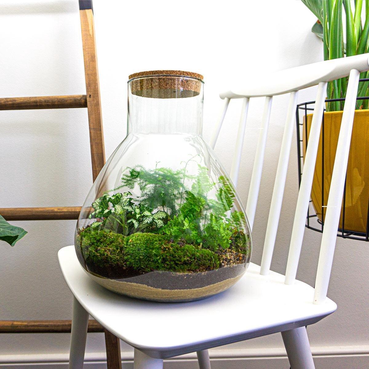 DIY-Terrarium - Sam XL - ↕ 35 cm - Harke + Schaufel + Pinzette